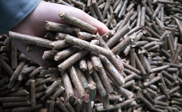 鋸末顆粒機(jī)顆粒，一種快速增長的能源載體