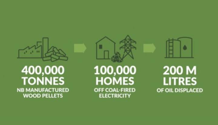 全球48%的木屑顆粒消費(fèi)來自住宅和商業(yè)建筑。從2020年到2021年，歐洲家庭生物質(zhì)消費(fèi)量增長(zhǎng)了18%，商業(yè)應(yīng)用增長(zhǎng)了12.5%。