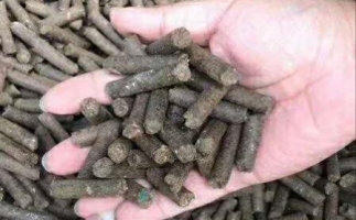 水果渣越來越受歡迎，因為它的出現(xiàn)—生物質(zhì)顆粒機(jī)設(shè)備