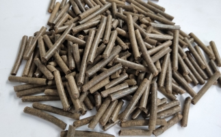 未來能源之爭是生物質(zhì)能源之爭，木屑顆粒機(jī)生物質(zhì)原料對(duì)環(huán)境無污染