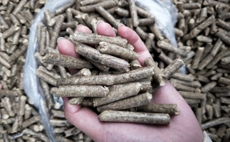 鋸末顆粒機(jī)木屑顆粒燃料市場(chǎng)前景如何？