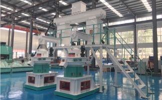 木屑顆粒機(jī)多少錢一臺?建顆粒廠大約多少錢？