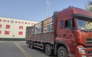 忙碌的五月，忙碌的發(fā)貨，金格瑞顆粒機(jī)生產(chǎn)線發(fā)往全國各地
