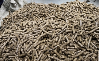 為什么很多人想了解木屑顆粒機加工的燃料顆粒作用？