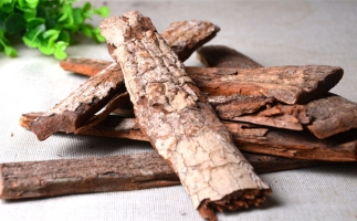 木材加工廠的廢棄物刨花能夠用來做什么？鋸末顆粒機告訴你