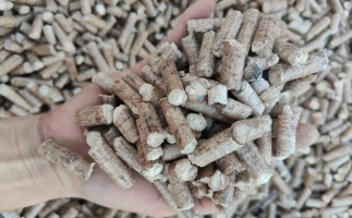 木材加工廠木屑堆積如山，環(huán)保部門令趕緊處理怎么辦？有它就夠了