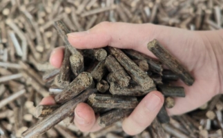 木屑燃料顆粒熱值多少大卡，完全取決于燃料的原料